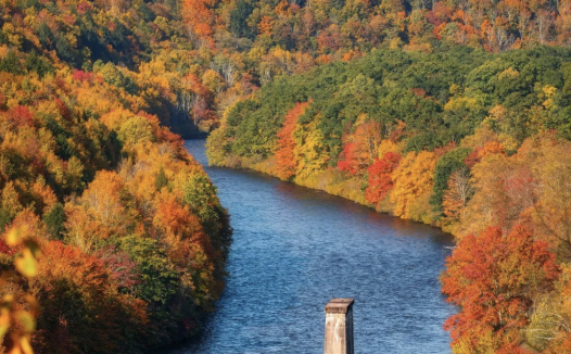 2024年Poconos赏红叶的5个最佳地点